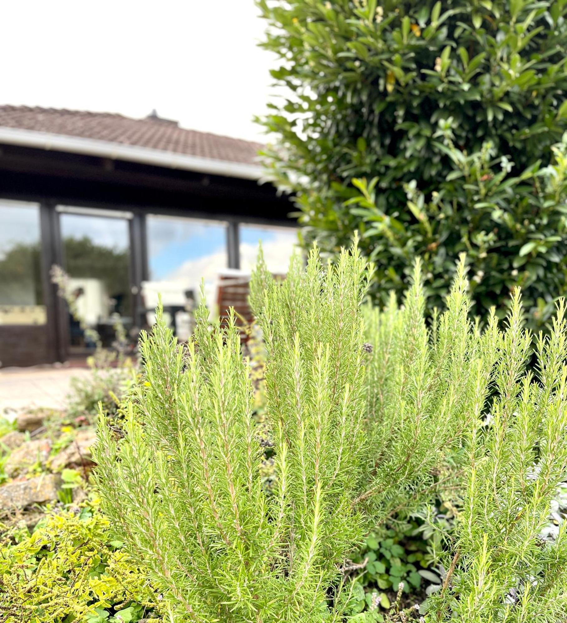 Ferienhaus Weinbergblick - Nahe Wuerzburg - 2 Schlafzimmer - Familienfreundlich - Terrasse Unterleinach Exterior foto